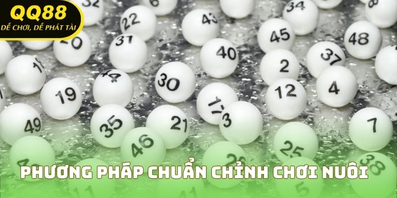 Phương pháp chuẩn chỉnh chơi nuôi lô 7 ngày